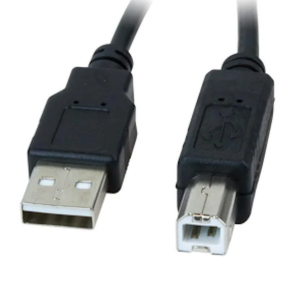 Xtech USB 2.0 A-Male to B-Male Cable